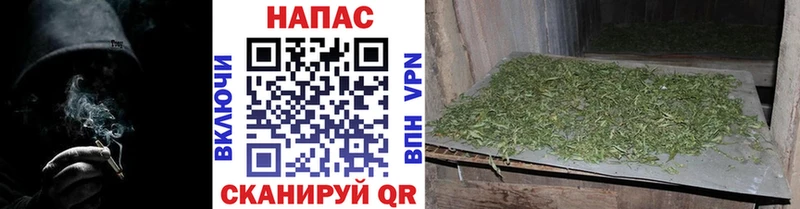 наркошоп  Харовск  Конопля SATIVA & INDICA 